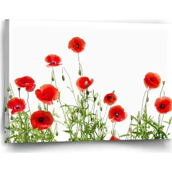 Obraz Sablio 90 x 60 cm Vlčí máky