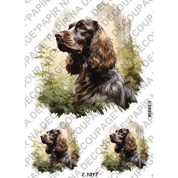 Umělecký papír Rýžový a soft papír na decoupage - Kokršpaněl - KB01017 Materiál: Soft, Rozměr: A4