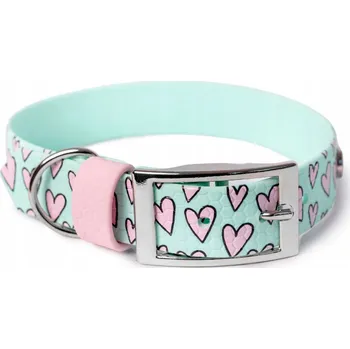 Obojek pro psa Obojek s přezkou Hexa, srdce plné, vel. L, máta