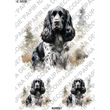 Umělecký papír Rýžový a soft papír na decoupage - Kokršpaněl - KB01019 Materiál: Soft, Rozměr: A4