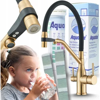 Vodovodní baterie Stojánková kuchyňská baterie Ari Magneto zlatá