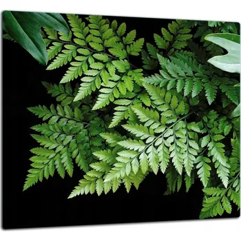 Obraz SKLENĚNÁ OCHRANNÁ DESKA PANEL S LEPIDLEM 65x60 LISTY Tvrzené sklo 7v1