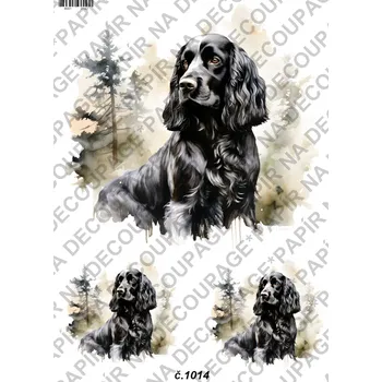 Umělecký papír Rýžový a soft papír na decoupage - Kokršpaněl - KB01014 Materiál: Soft, Rozměr: A4