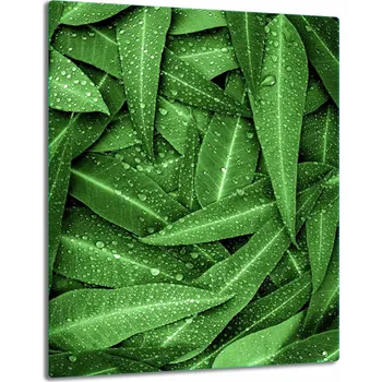 Obraz Krájecí deska TMK ArtDeko sklo 1 ks