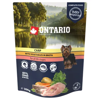 Kapsička Ontario kapr se zeleninou ve vývaru 300g