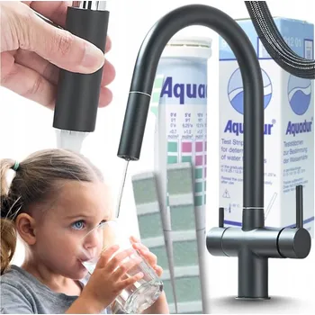 Vodovodní baterie Kuchyňská stojánková baterie Ari SLENDER černá, stříbrná, šedá