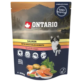 Kapsička Ontario losos se zeleninou ve vývaru 300g