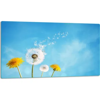 Kuchyňské prkénko Krájecí deska TMK ArtDeko sklo 1 ks