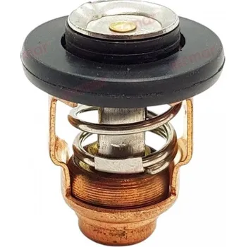 Lodní motor TERMOSTAT MERCURY MARINE YAMAHA OUTBOARD F15 F20 BF115 BF130 6AH-12411-00 RECMAR