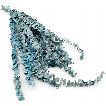 umělá květina Eukalyptus Baby Matně zelený stabilizovany