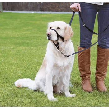 Náhubek pro psa Výcviková ohlávka Trixie Top Trainer L-XL