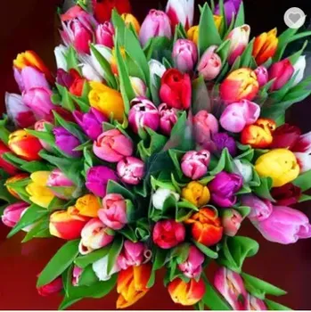 Diamantové malování HOMFUN Kytice tulipánů