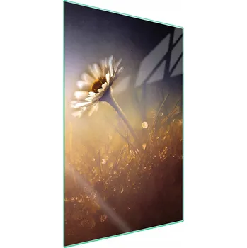 Obraz Krájecí deska TMK ArtDeko sklo 1 ks