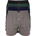 Aston bavlněné trenkoslipy - 4bal. M vícebarevná