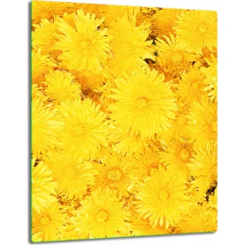 Obraz Krájecí deska TMK ArtDeko sklo 1 ks