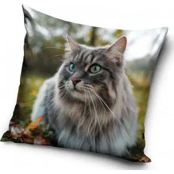 Polštář Povlak na polštář kočka (13)