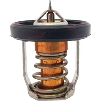 Lodní motor TERMOSTAT SUZUKI ZÁVĚSNÝ MOTOR DF8 DF9.9 DF15 DF20 17670-94J01 RECMAR