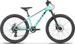 BEANY Blaster 20" 2025 Turquoise