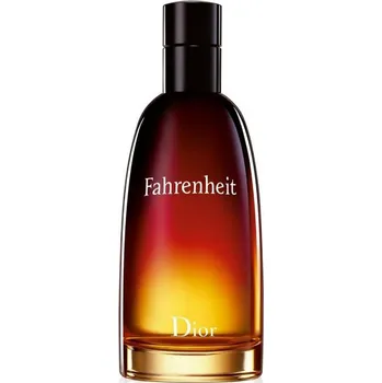 Pánský parfém Christian Dior Fahrenheit Men Eau de Toilette 50 ml - Tester