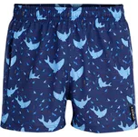 Litex Chlapecké koupací šortky 6F418 6F418 146