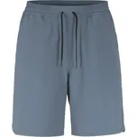 Pánské šortky CRAFT COLLECTIVE STRUCTURE 1916036-376000 velikost M