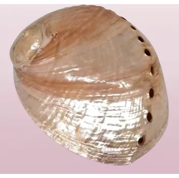 Vykuřovací miska na svazky - růžová Paua abalone