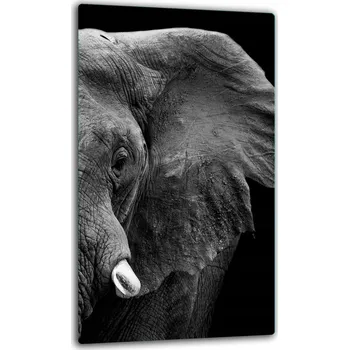 Kuchyňské prkénko Krájecí deska TMK ArtDeko sklo 1 ks