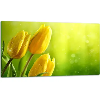 Kuchyňské prkénko Krájecí deska TMK ArtDeko sklo 1 ks