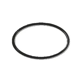 Vagnerpool Těsnění o-kroužek připojovacího šroubení uv (2ks) E800941