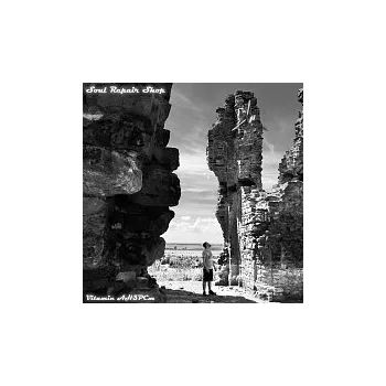 Česká hudba Vitamin AH3PCm – Soul Repair Shop