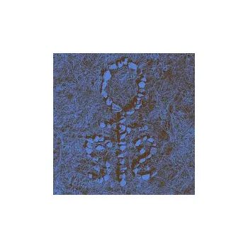 Česká hudba The Sculptures – Break Heart in Two