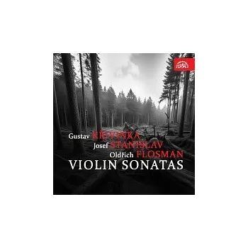Česká hudba Různí interpreti – Křivinka, Stanislav, Flosman: Sonáty pro housle a klavír
