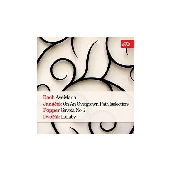 Hudba Jiří Hubička, František Smetana – Ave Maria, Frýdecká panna Maria