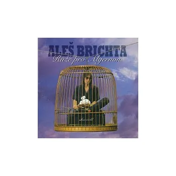 Česká hudba Aleš Brichta – Růže pro Algernon