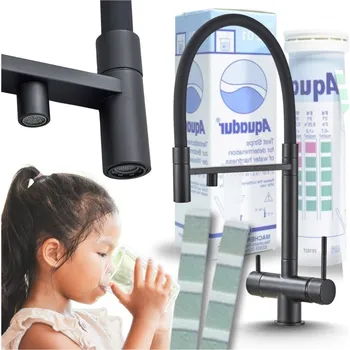 Vodovodní baterie Kuchyňská stojánková baterie Ari HighFlex černá, stříbrná, šedá