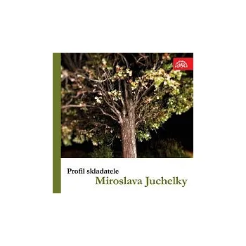 Česká hudba Různí interpreti – Profil skladatele Miroslava Juchelky