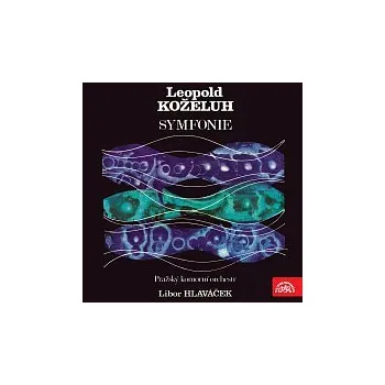 Česká hudba Pražský komorní orchestr, Libor Hlaváček – Symfonie F dur, g moll