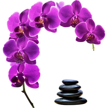 Samolepící dekorace Dekorativní nálepka na zeď DS 85x88 cm