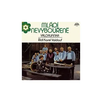 Česká hudba Malá dechová hudba Valdaufinka – Mládí nevybouřené