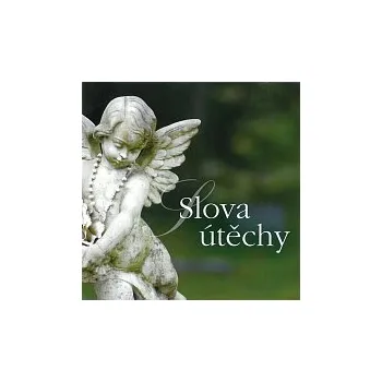 Česká hudba Různí interpreti – Slova útěchy