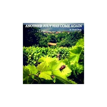 Česká hudba Zdeněk Škoda – Another July Has Come Again - Single