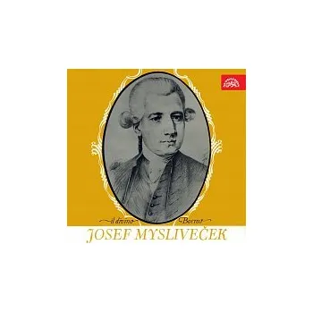 Česká hudba Různí interpreti – Mysliveček: Il divino boemo