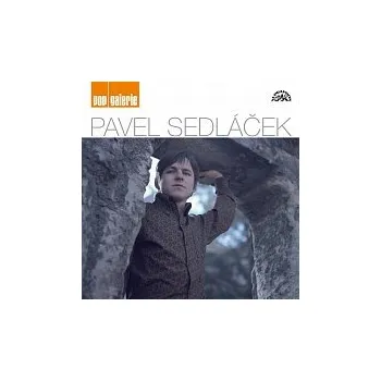 Česká hudba Pavel Sedláček – Pop galerie