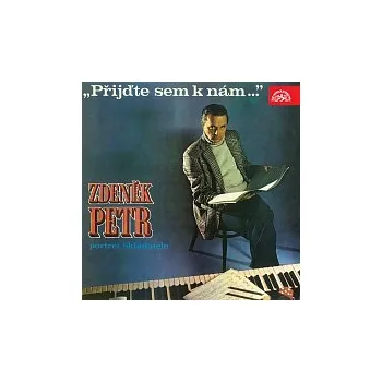 Česká hudba Různí interpreti – Přijďte sem k nám