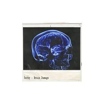 Česká hudba YerzY – Brain damage