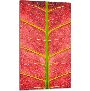 Obraz Krájecí deska TMK ArtDeko sklo 1 ks