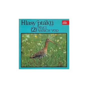Hudba Zdeněk Kux – Hlasy ptáků (2) Pěvci našich vod