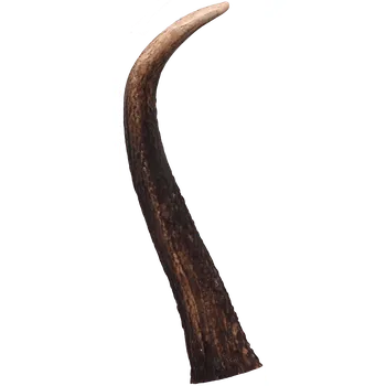 Krmivo pro psa Paroh Ontario jelení pamlsek pro psy XL