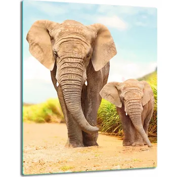 Kuchyňské prkénko Krájecí deska TMK ArtDeko sklo 1 ks