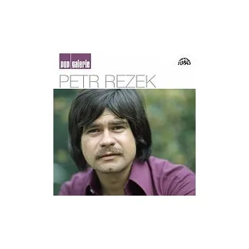 Česká hudba Petr Rezek – Pop galerie